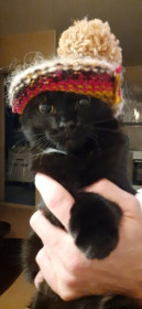 Марсель, 7 месяцев. г. Благовещенск