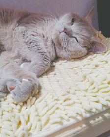 Оскар, 14 лет. п. Архара