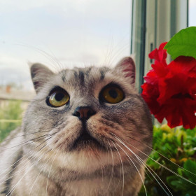 София, 5 лет