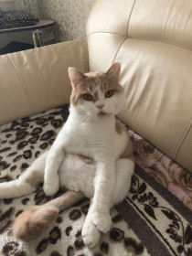 Марик, 7 лет. г. Благовещенск