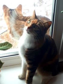 Маруся, з года. п. Горный, Зейский район