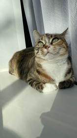 Бусинка, 3 года. г. Свободный