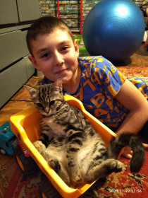 Муся, 1 год, 2,5 кг. с. Троицкое