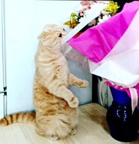 Малыш, 2 года. г. Свободный