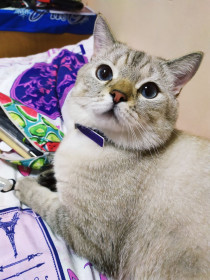 Мася, 2 года