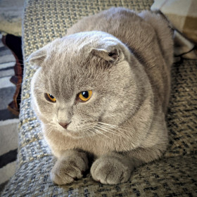 Тим, 9 месяцев, 3,6 кг. г. Благовещенск