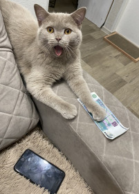 Тимофей, 1 год 3 месяца. г. Благовещенск