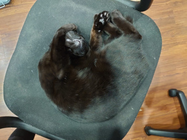 Бусинка, 9 месяцев. пгт Магдагачи