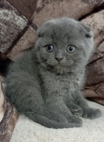 Бусинка, 2 месяца. п. Восточный