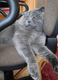 Ричи, 2 года