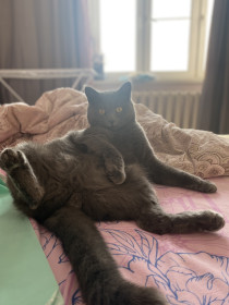 Тормоз, 2,5 года