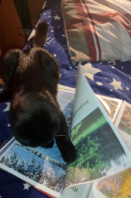 Маруся, 1 год 5 месяцев. пгт Магдагачи