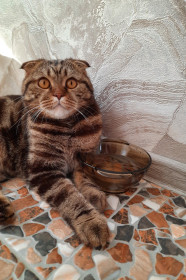 Вася, 2 года, 6 кг. г. Благовещенск