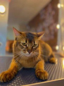 Алекс, 1 год