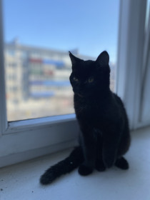 Гайка, 5 месяцев. г. Белогорск