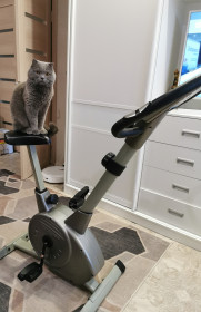 Куки, 3 года. г. Благовещенск