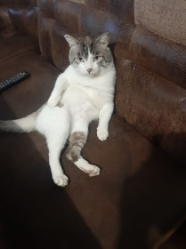 Тихон, 7 лет, 4,5 кг. г. Завитинск