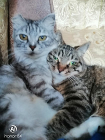 Маня (6 лет) и Соня (3 года)