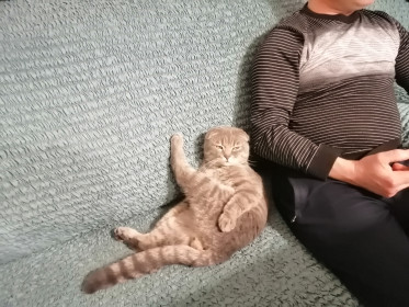 Кто Масилий, или Мася. 1 год 7 мес.