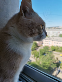 Масик, 2 года