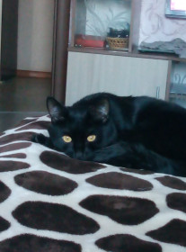 Гоша, 2 года