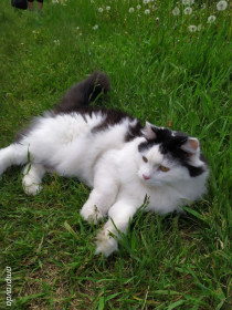 Машенька, 6 лет, 5 кг. г. Завитинск