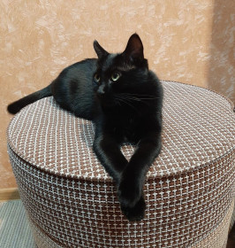 Варенька, 2 года. с. Екатеринославка