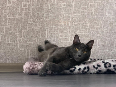 Сергей, или Серёга. 1 год.