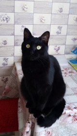 Филя, 4,5 года. г. Сковородино