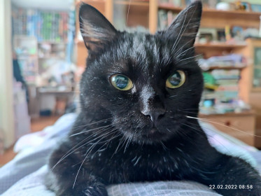 Муся, 13 лет. станция Арга