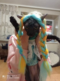 Боня, 7 месяцев, 1,5 кг. г. Благовещенск