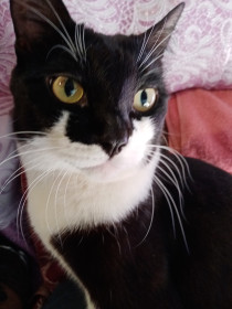 Маруся, 7 лет 5 месяцев. г. Благовещенск