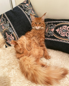 Ира, 10 месяцев. г. Благовещенск