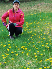 Одуванчики радуют глаз, г. Благовещенск