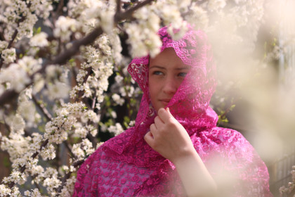 Цветущая слива в с. Ивановка