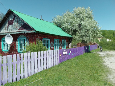 Яблонька цветёт, с. Сычёвка.