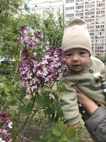 Сирень во дворе