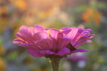 В лучах заката, с.Загорная Селитьба