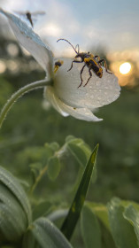 ЖУК, село Михайловка