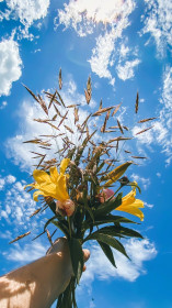Июньский букет, село Михайловка