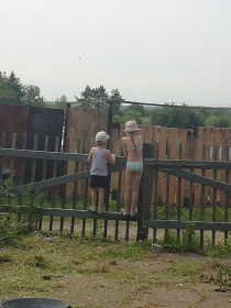 Дачный надзор