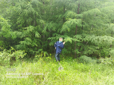 Лето наша жизнь