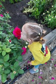 Лето -— пора уДачи!