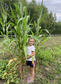 Лето в деревне)