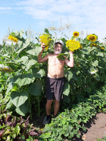 Солнце любят все