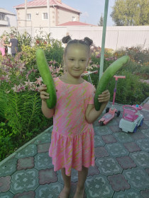 Урожай с бабушкиного огорода в селе Астрахановка