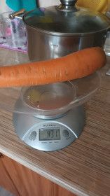 Космическая морковка из Циолковского