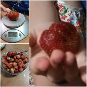 Клубничное лакомство из Циолковского