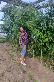 Помидор «большая мамочка», с.Никольское