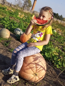 Тыквенный рай в с. Поляна